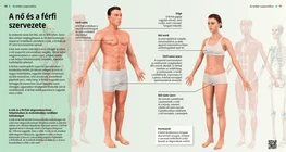 The Female and Male Body