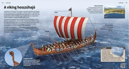 Viking Longships