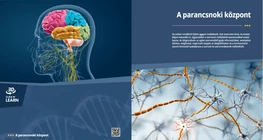 The Control Centre