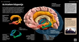 The Centre of Emotions