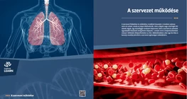 Body Systems
