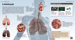 The Effects of Smoking