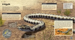 Snakes: Fang-tastic Creatures