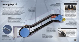 Escalators