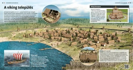Viking Settlements