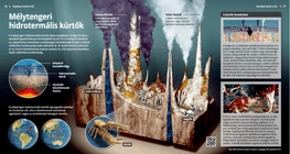 Deep Sea Hydrothermal Vents