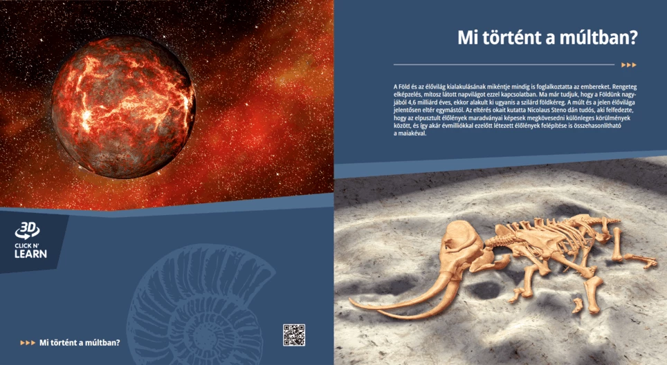 What Happened in the Past?