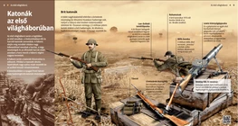 Soldiers in World War I (British)