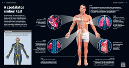 The Amazing Human Body