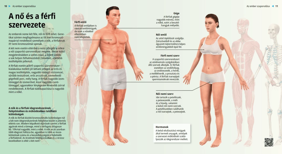 The Female and Male Body