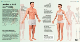 The Female and Male Body