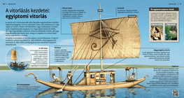 The beginnings of Sailing: Egyptian Sailing Boats
