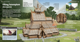 Viking Stave Church (Borgund)