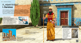 The ‘King of Nations’: Darius I