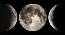 สหายแห่งสวรรค์ของโลก