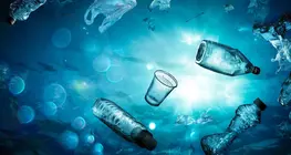 Marine pollution