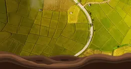 The past and present of crop rotation