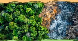 Global climate change