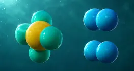 Reversible reactions – Which way does chemical equilibrium shift?