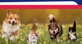 Nature et animaux