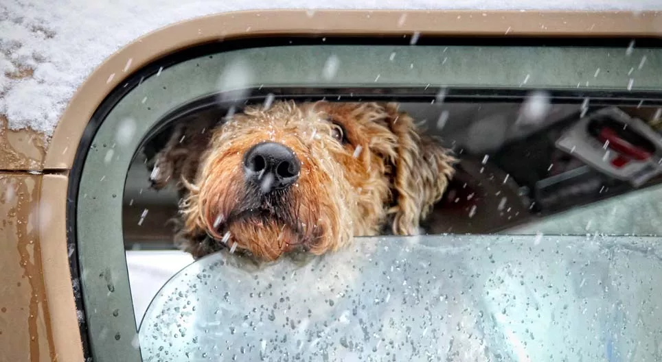 โครงการสภาพอากาศ