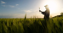 The environmental risks of pesticides and fertilisers