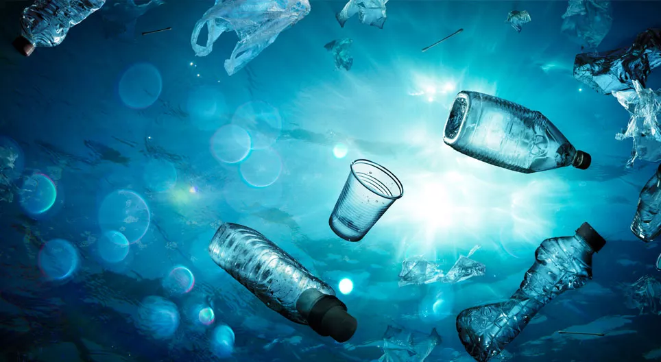 Tengerek szennyezése