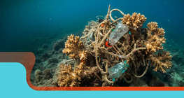 การตระหนักรู้ด้านสิ่งแวดล้อม