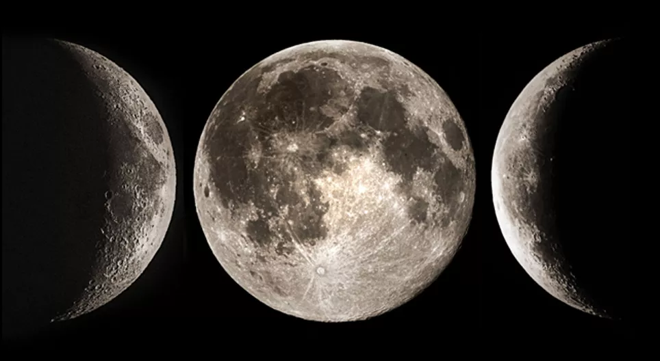 สหายแห่งสวรรค์ของโลก