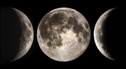 สหายแห่งสวรรค์ของโลก