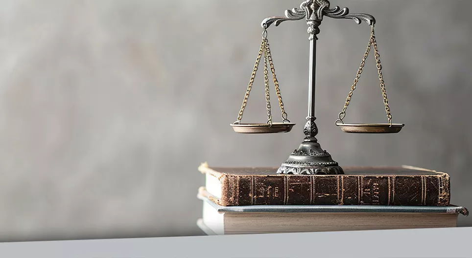 Democracy and citizenship