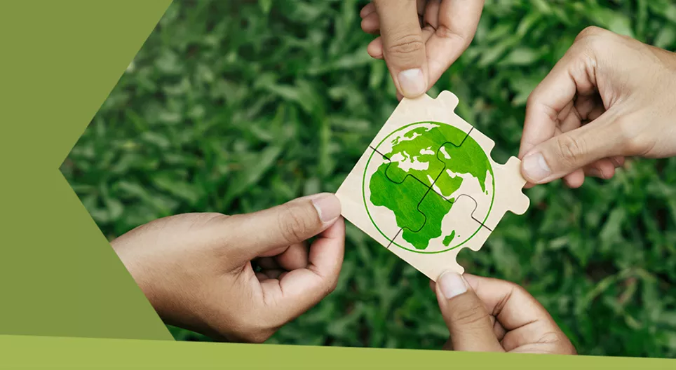 การใช้ชีวิตอย่างยั่งยืนหมายความว่าอย่างไร