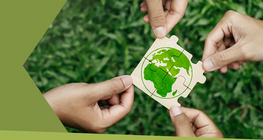 การใช้ชีวิตอย่างยั่งยืนหมายความว่าอย่างไร