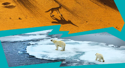 ทำไมถึงมีทะเลทรายและแผ่นน้ำแข็งบนโลก