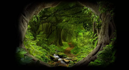 ลึกเข้าไปในป่า