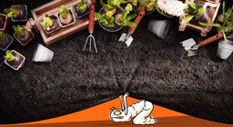 ชีวิตในสวนเปลี่ยนไปอย่างไร