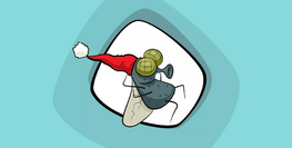 แมลงวันซ่อนตัวอยู่ที่ใดในฤดูหนาว