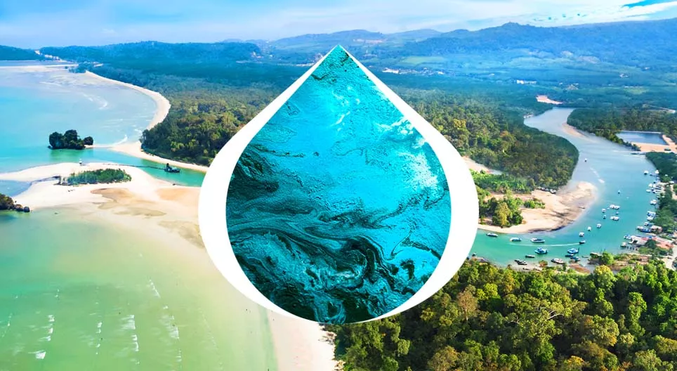 การเดินทางจากต้นทางสู่ปาก