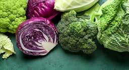 ครอบครัวกะหล่ำปลี