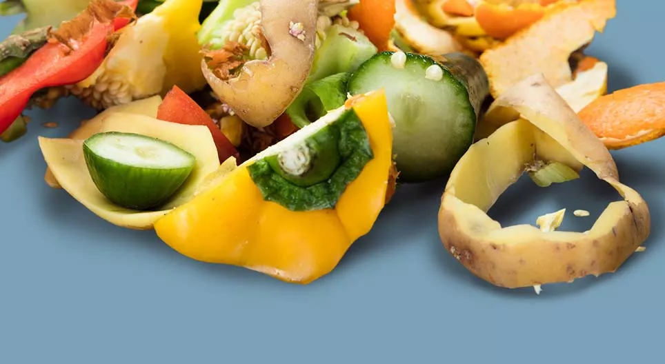 ลดปริมาณขยะ