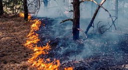 เราใช้ไฟมานานเพียงใด