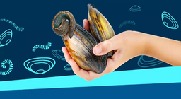 ที่ด้านล่างของทะเลสาบ