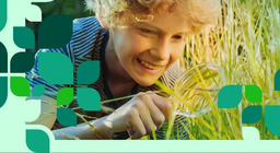 พืชและสัตว์ในที่ราบ