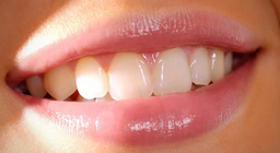 เรารู้อะไรเกี่ยวกับฟันบ้าง