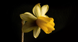 ความลับของจักรวาลที่กำลังขยายตัว