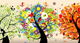 ฤดูกาลคืออะไร