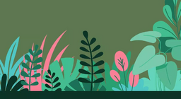 ไม้ล้มลุก