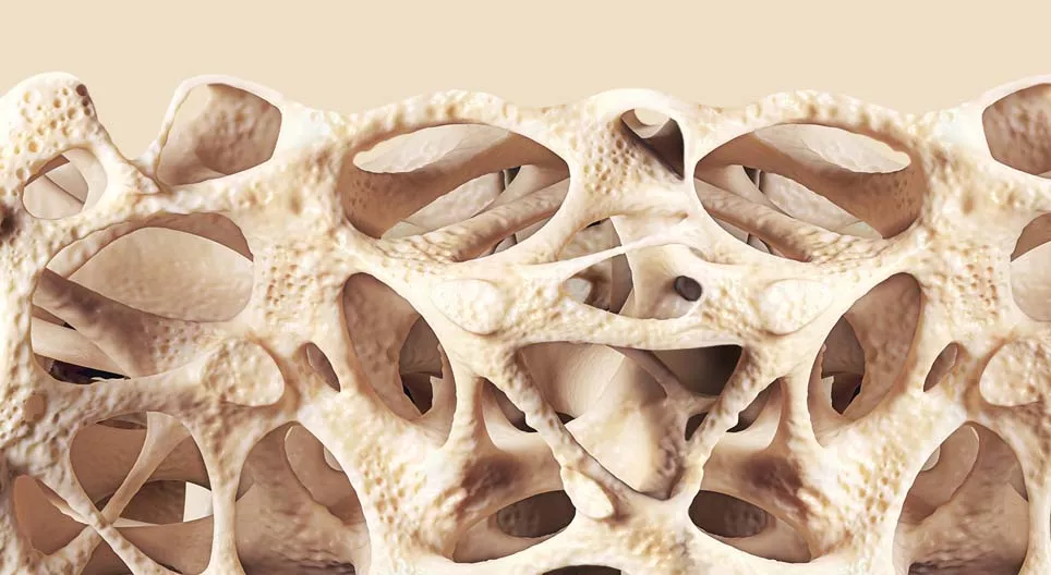 เนื้อเยื่อเกี่ยวพัน