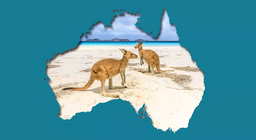 ปัญหาสิ่งแวดล้อมในดินแดนจิงโจ้