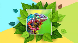 สารเปลี่ยนสีในธรรมชาติ